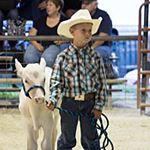 Young Boy with Calf