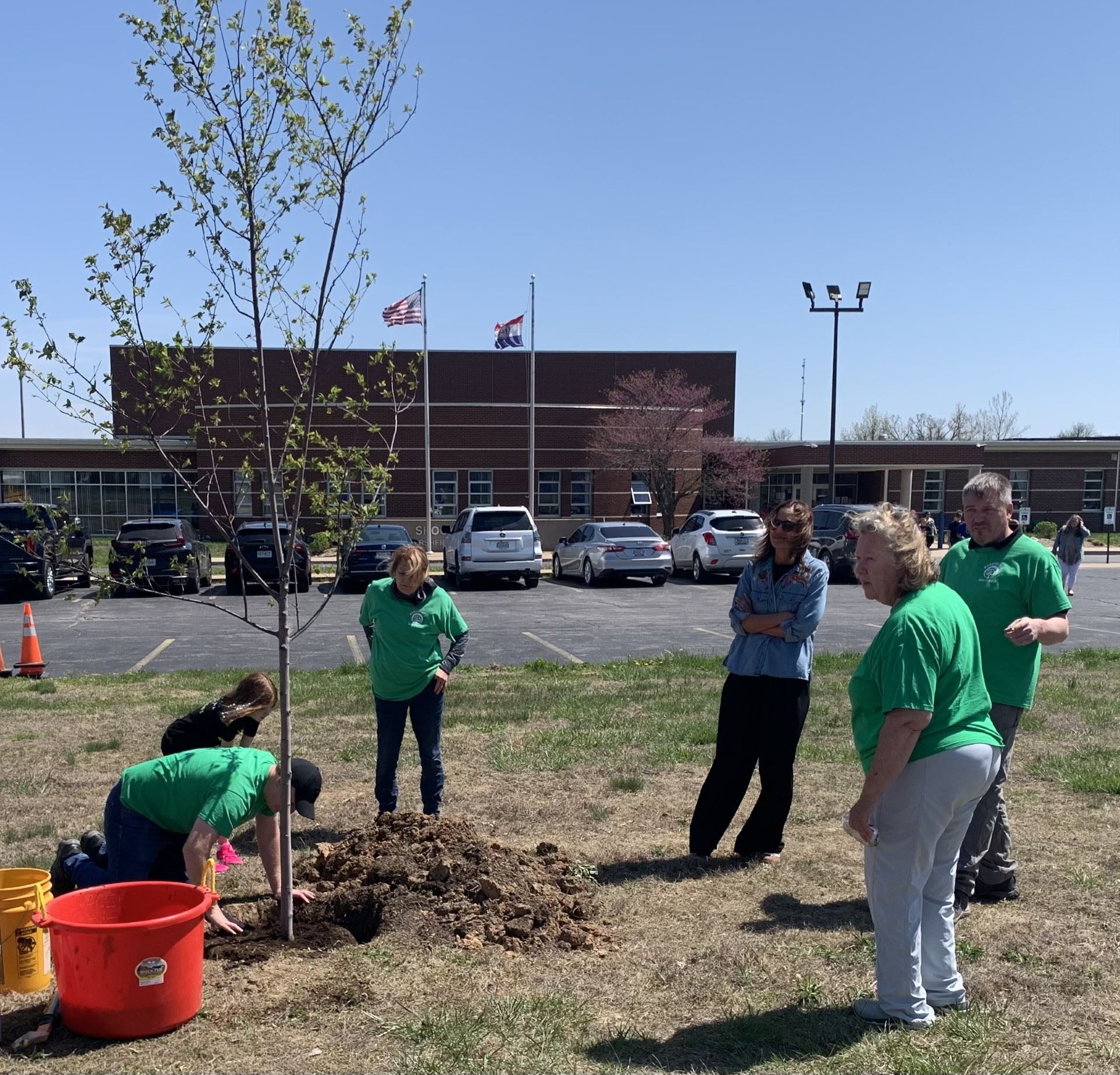 Planting Tree before event