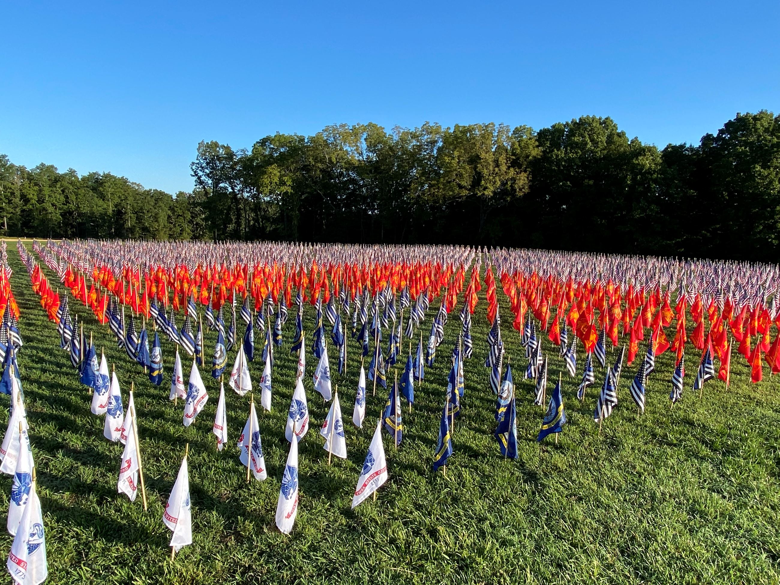 Field of Flags 2